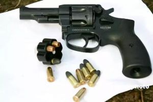 ZLS05式警用转轮手枪