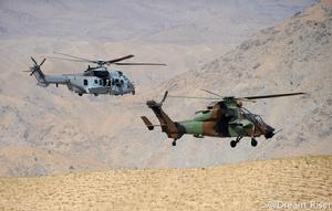 法国虎式在阿富汗